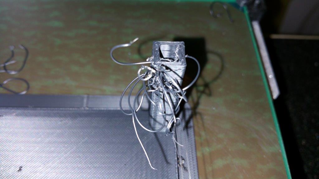 Stringy Leg.jpg